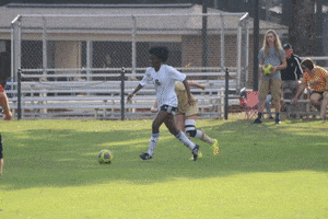 happy texas lutheran GIF by Southern Collegiate Athletic Conference