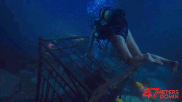 47MetersDown  GIF
