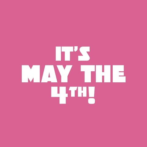 May The Fourth Be With You GIF by LEGO