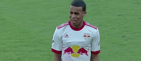 Major League Soccer No GIF by New York Red Bulls