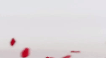 season 13 abc GIF by The Bachelorette