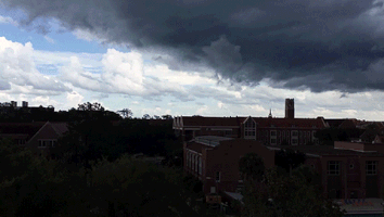 rain uf GIF by University of Florida