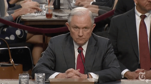 Image result for jeff sessions glasses gif