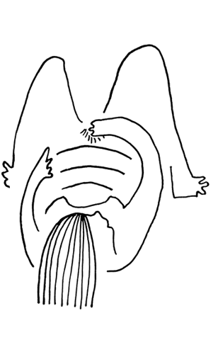 Feminism Everyone GIF