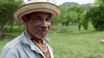 Viceland GIF by JUNGLETOWN