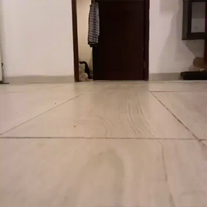 nikeloku  GIF