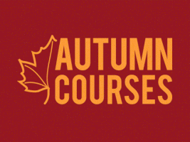 BrusselsULB best brussels ulb autumncourses GIF