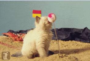 dandelion  GIF