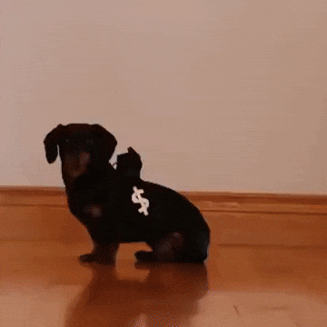 Cops And Robbers Dogs GIF by reactionseditor
