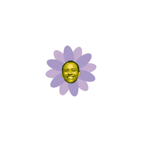 lucaspeceu feijogratidao GIF