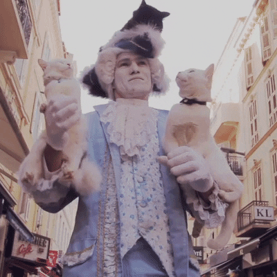paultrillo cats guy street french GIF