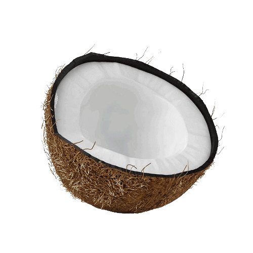 coconut animated gif