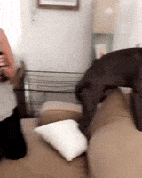 cute aww GIF