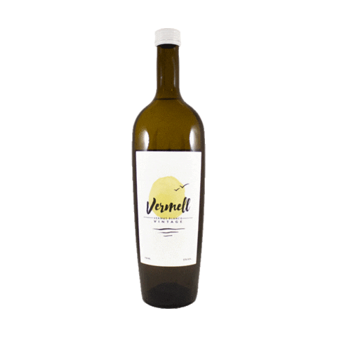 Vermouth Verma Sticker by Vermut Vermell
