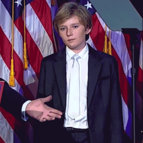 alexandrelegault-dery trump election2016 GIF