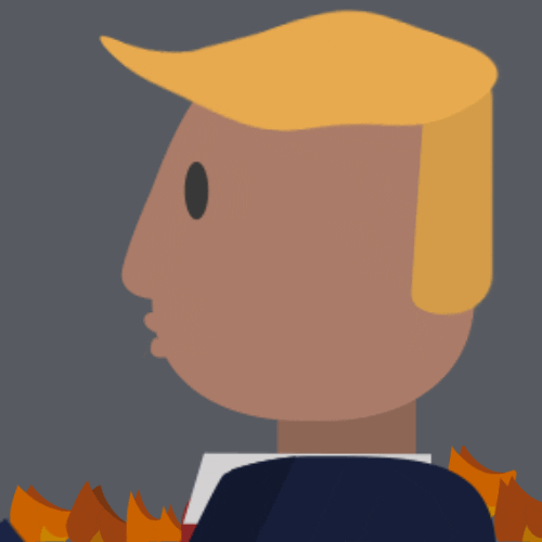 Donald Trump Burn GIF by alexa kerr