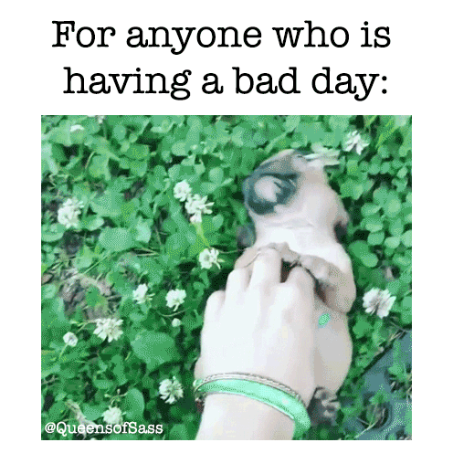 esjayt  GIF