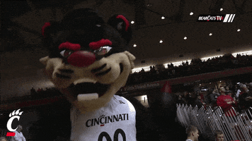 cincinnati bearcats mascot GIF by University of Cincinnati Athletics