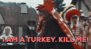 Kill Me I Am A Turkey GIF by filmeditor