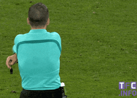 ligue 1 referee GIF by Toulouse Football Club