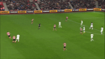 touch GIF by Southampton FC