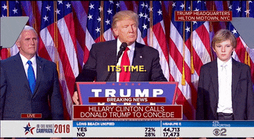 donald trump GIF by Election 2016