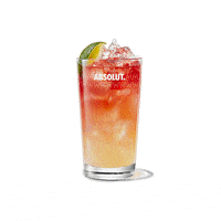 drinks surprise me GIF by Absolut Vodka