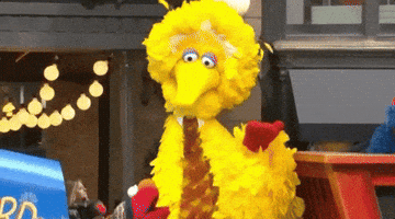 Sesame Street gif. Big Bird looks up at us and nods as Elmo looks up  and dances in front of him on the Macy’s Thanksgiving Day Parade float. 