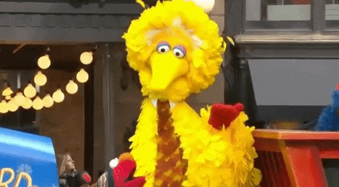 big bird yes GIF by The 91st Annual Macy’s Thanksgiving Day Parade