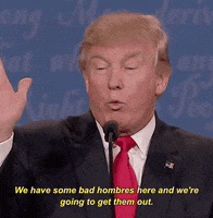 Donald Trump Bad Hombres GIF by Election 2016