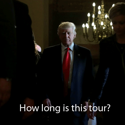 ramboozle nuclear election2016 dumptrump trumb GIF