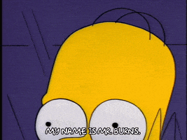 Season 4 Episode 21 GIF by The Simpsons