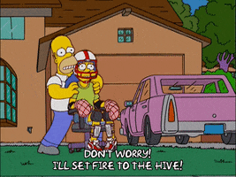 200.gif?cid=fc005b08ef3bc8cc49c226426851be3d8b15fdc2fd79966c&rid=200.gif&ct=g