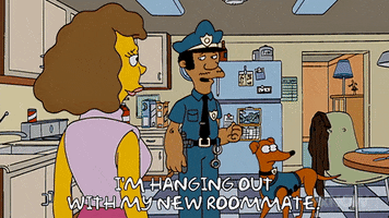 200.gif?cid=fc005b080350544cf2f05cb1e22d79efe31a072020e0be49&rid=200.gif&ct=g