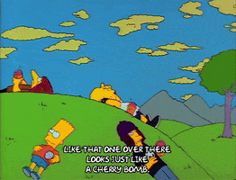 Season 1 Cloud GIF by The Simpsons
