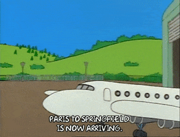 Season 1 Plane GIF by The Simpsons