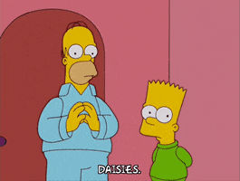 200.gif?cid=fc005b08c85ad223a8dc2285312ce156d127fb4582eb0ac9&rid=200.gif&ct=g