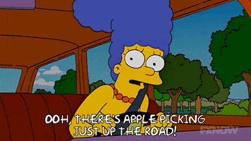 Episode 4 Apple Picking GIF by The Simpsons