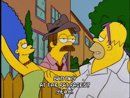 homer simpson GIF homer simpson GIF