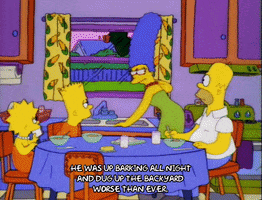 200.gif?cid=fc005b0881b039f44b0146b66081b28eb57f08c645bd8087&rid=200.gif&ct=g
