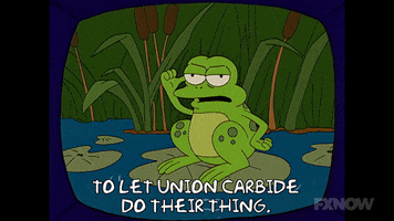 Episode 8 Frog On Tv GIF by The Simpsons