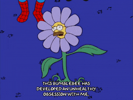 the simpsons flower GIF