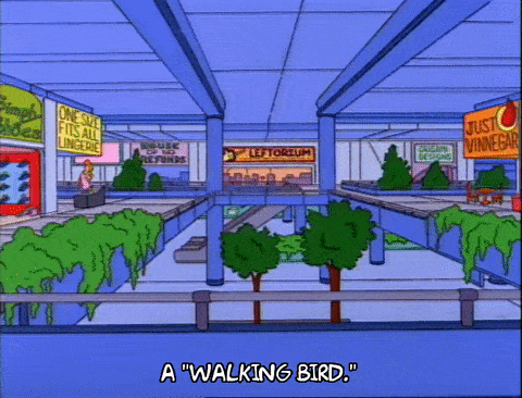 walking-bird meme gif