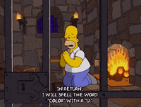 200w.gif