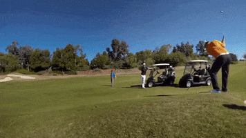 Golf Swing GIF