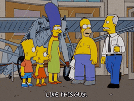 homer simpson episode 6 GIF