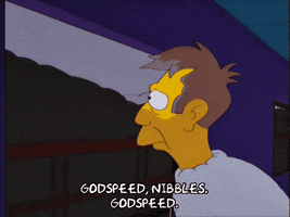Episode 8 Godspeed GIF by The Simpsons