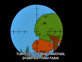 200.gif?cid=fc005b08460072bf1a11ee2858c295ec18edb2fae8d1dc0c&rid=200.gif&ct=g