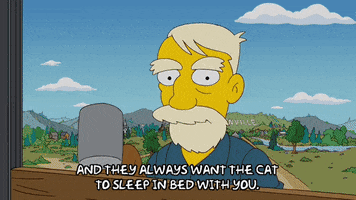Season 20 Cat GIF by The Simpsons