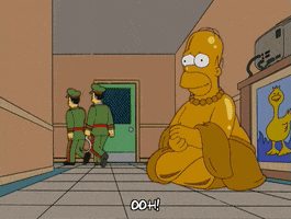 homer simpson GIF